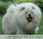 �����Ĵ�����ר��