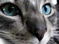 �������Ů��ר��