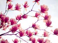 ���������ר��