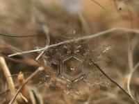 ���뱾����ת��ר��