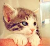 ������һ��ר��