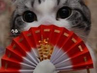 ���������ר��