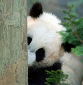 �����С����ר��