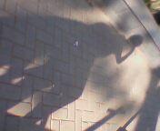 �����������ר��