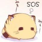 ����񿤵�ר��