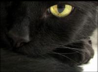 ������ë�ص�ר��