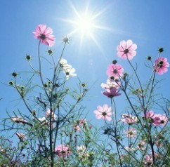 �������������ר��