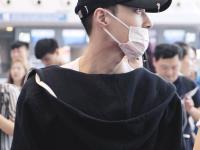 进入白马探花的专栏