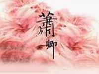 ���������ר��