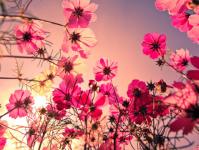 ��������Ȼ��ר��