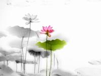 ���볿�ط�Ӱ��ר��