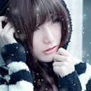 �������������ר��