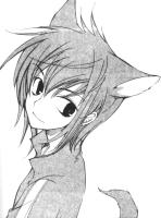 ����������ר��