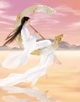 �������ǣ���ר��