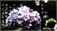 �����ľ���ӵ�ר��