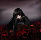 ����ѪȾ�Ű���ר��