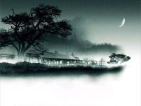 ���뷴�������ר��