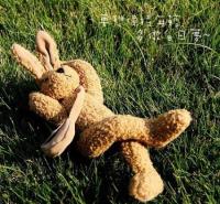 ���뻵Ů�˵�ר��