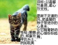 �����ܰ��ר��