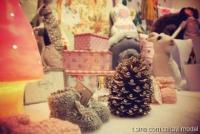 ����c�ĵ�ר��