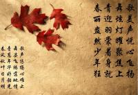 进入洛叶的专栏