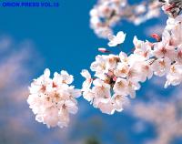 ����������ꖵ�ר��