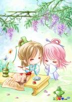 ����İ�����µ�ר��