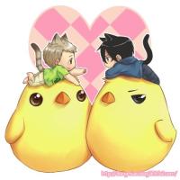 ����Homo��ר��