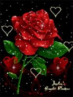 �����¹�ؼ��欵�ר��