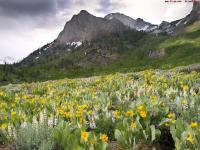 ���밮��ת�ǵ�ר��