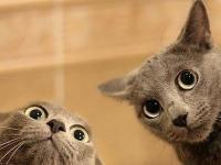 ���������ר��