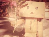 进入撒谎不是乖小孩的专栏