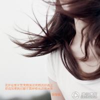 ���밲������ר��