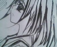 ���뵥Ҷ��ר��