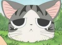 ���뷲����ר��