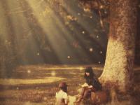 ������ѩ����ר��