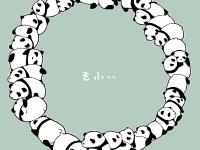 ���뱱����ר��