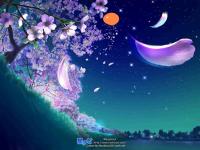 ����������ya�ŵ�ר��