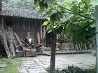 进入安彩绘的专栏