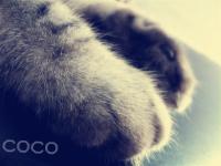 ���������ר��