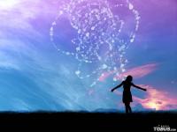 进入殇夝的专栏