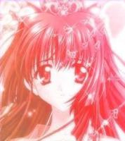 ���뵭�µ�ר��