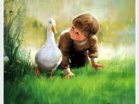 �����ԭ��ר��