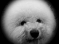 ���������ר��