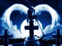 �����ħAngel��ר��