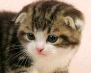 ��������èè��ר��