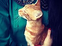 ����С���ר��