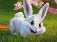 ��������ר��