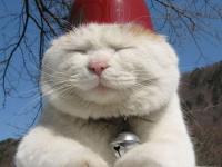 �����΢��ר��