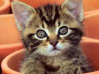 ����ɽ�и��յ�ר��